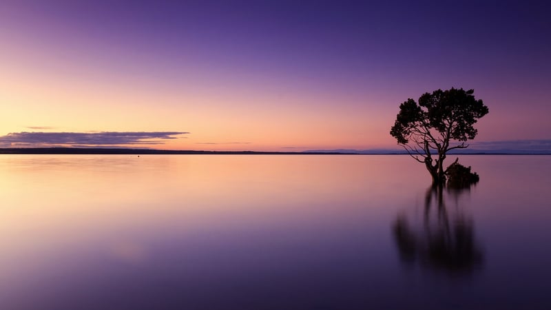 Mindfulness Practices